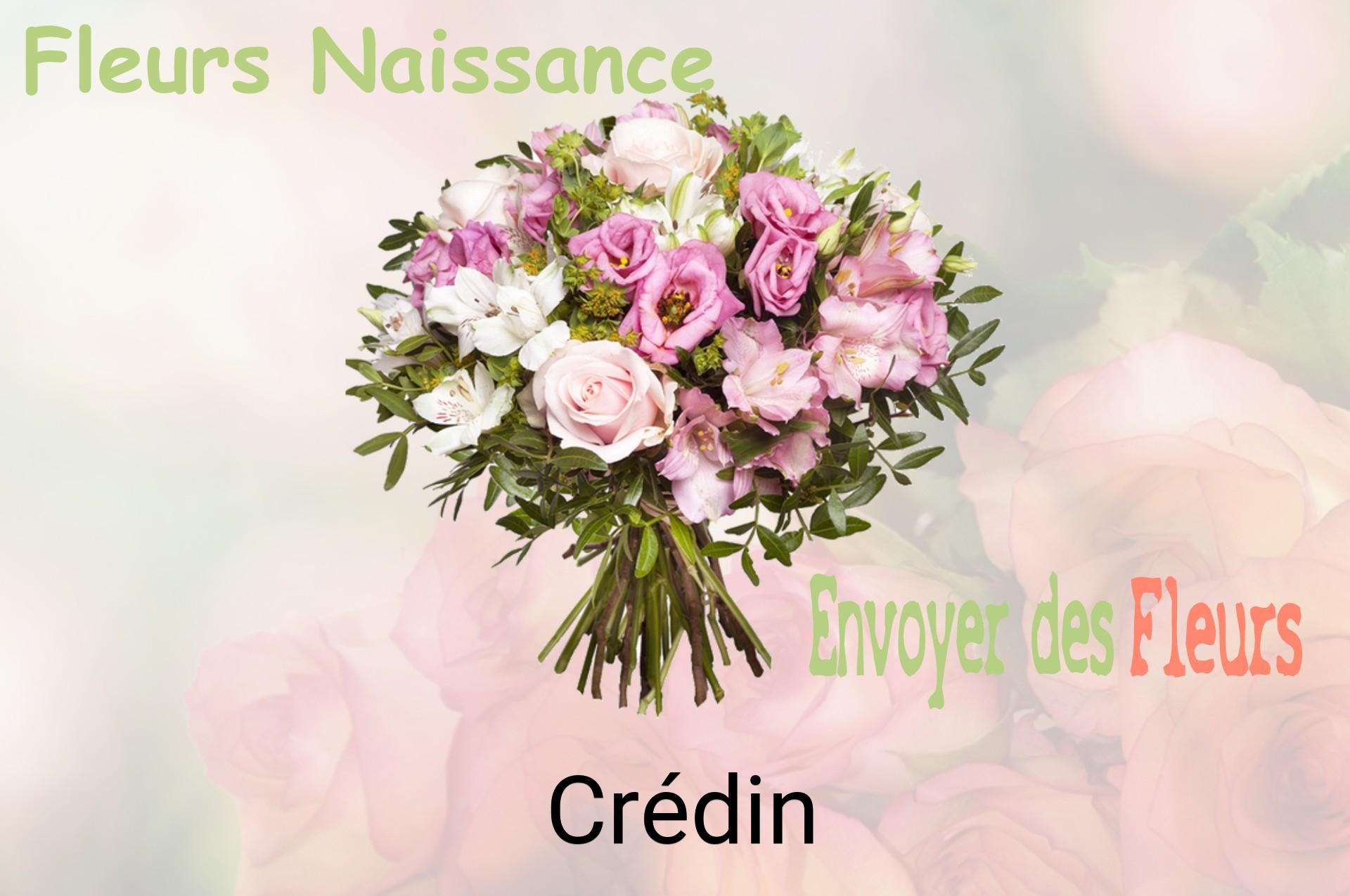 Bouquet de fleurs de naissance livré à Crédin